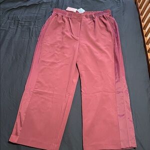🎁SALE🎁 NWT Pants